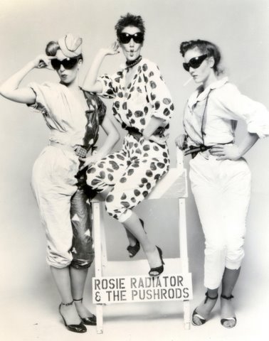 25_Rosie_Radiator___the_Pushrods.JPG